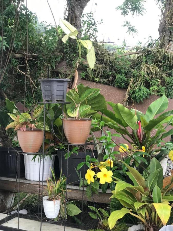 ホテル Jaya Hill Garden クリムトゥ エクステリア 写真